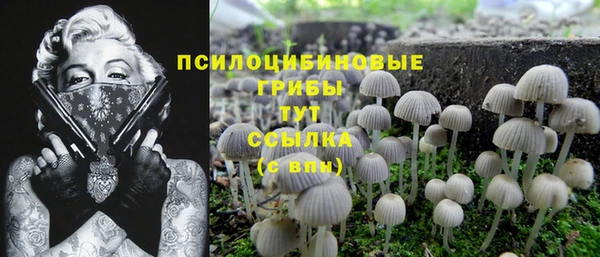 каннабис Аркадак