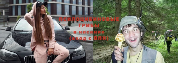 крисы Армянск