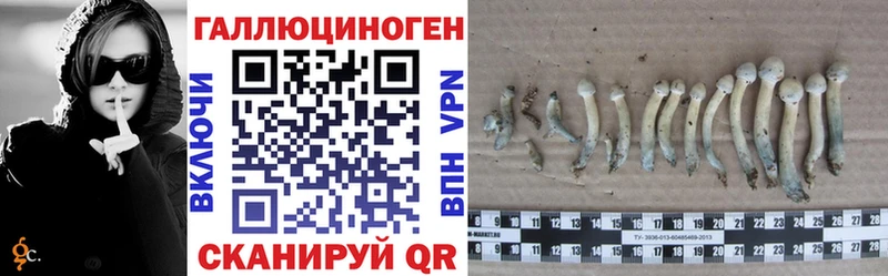 Псилоцибиновые грибы Cubensis  Усть-Джегута 